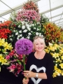 Allium Globemaster