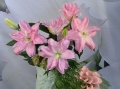 Roselily Editha Double Oriental Lily