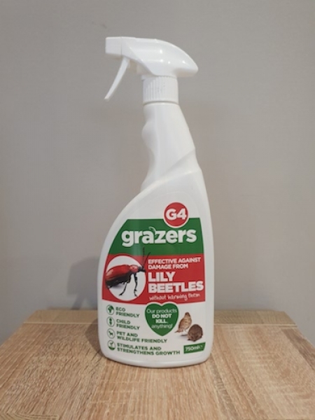 Lily Beetle Prevention Spray