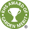 RHS AGM of GARDEN MERIT Tulip Orange Princess
