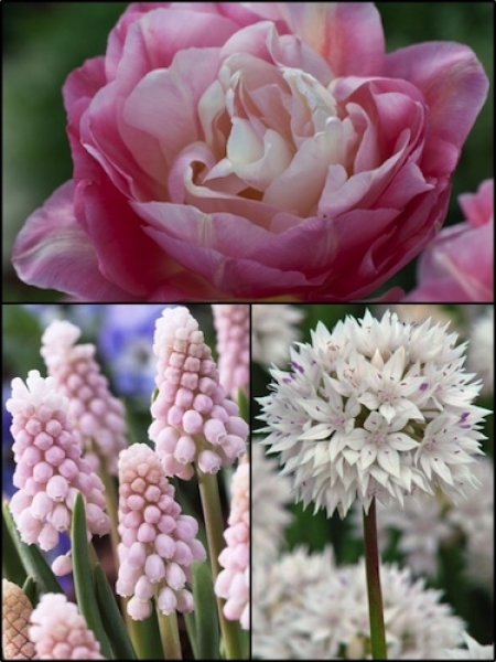 Victoria Hart's Spring Pink Collection 