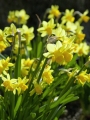 Tete a tete