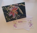 Card and gift certificate