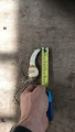 Bulb size for nerines
