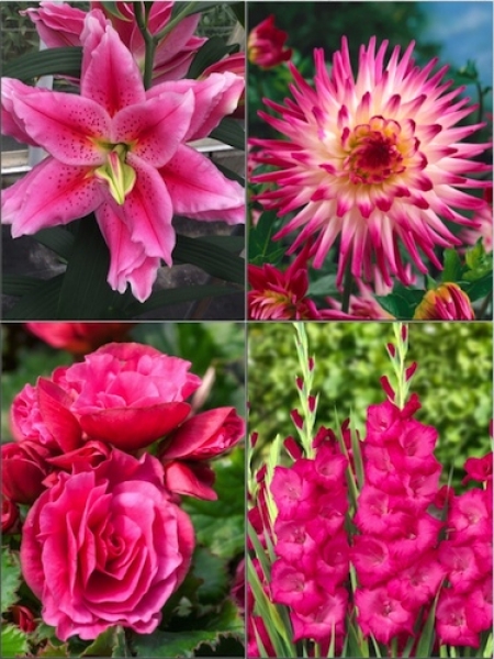 Pink Summer Flower Collection (Pack of 26)