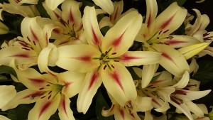 20140523_103513