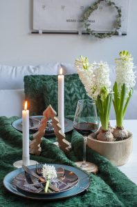 Christmas Hyacinths